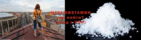 spice Богданович