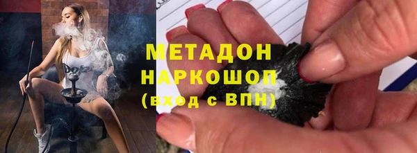 сатива Беломорск