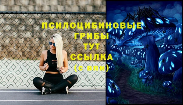 МДПВ Богородицк