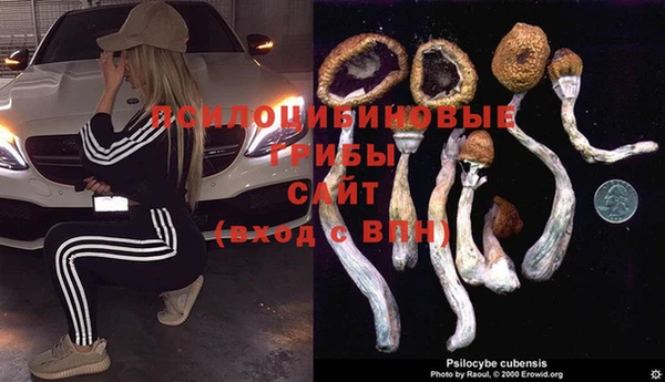 бутират Бородино
