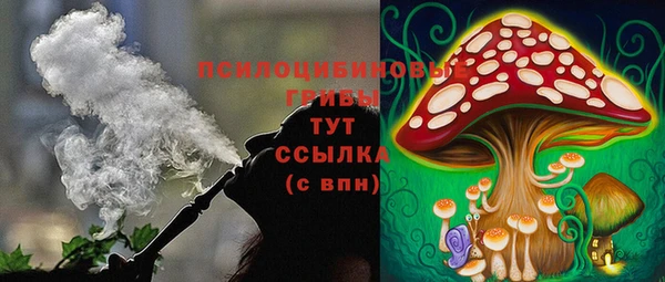 spice Богданович