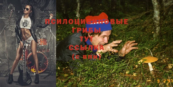 МДПВ Богородицк