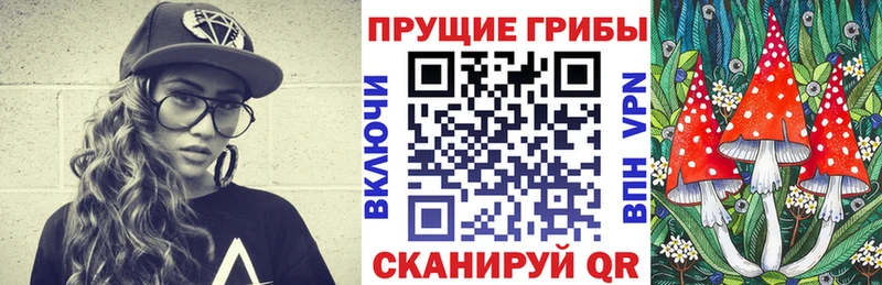 Псилоцибиновые грибы Psilocybe Балтийск
